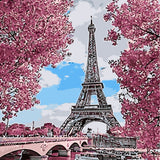 Malen nach Zahlen Paris mit rosa Bäumen