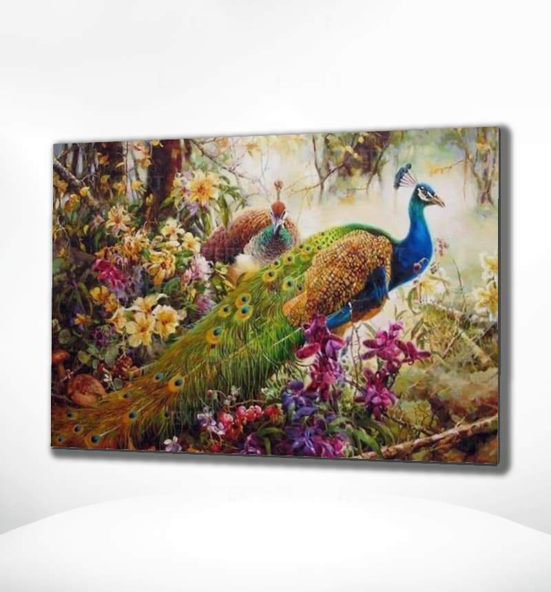 Malen nach Zahlen Pfaue im Wald