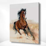 Malen nach Zahlen Pferd im Galopp