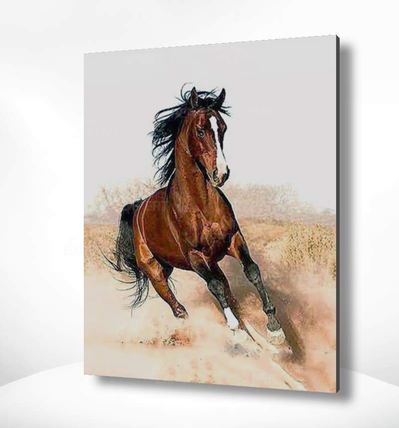 Malen nach Zahlen Pferd im Galopp