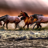 Malen nach Zahlen Pferde im Meer