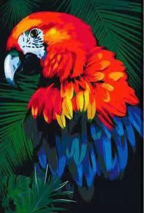 Malen nach Zahlen Rot Papagei mit blauen Schattierungen-Malen Nach Zahlen Experte