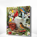 Malen nach Zahlen Rot, blau und gelb Vögel