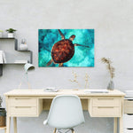 Malen nach Zahlen Schildkröte (mit Rahmen)