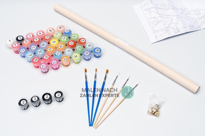 Malen nach Zahlen Schildkröte (mit Rahmen)