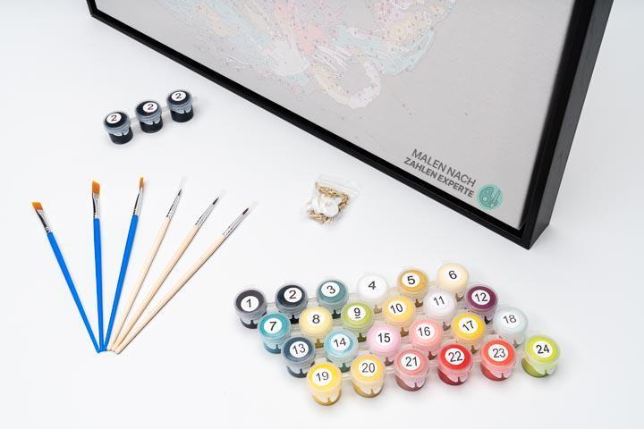 Malen nach Zahlen Schildkröte (mit Rahmen)