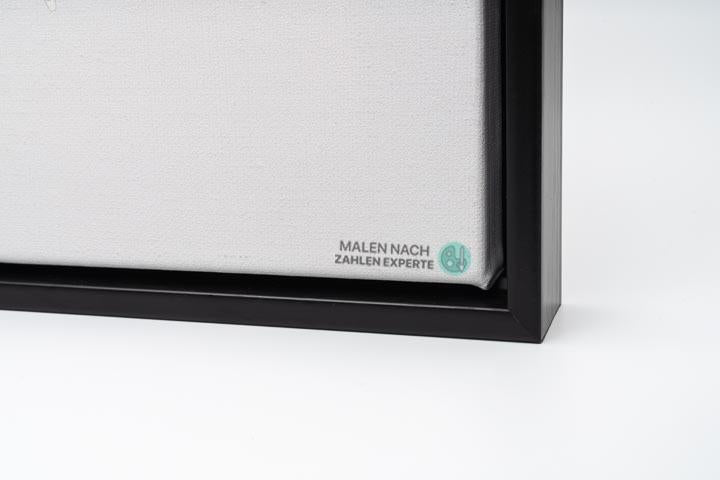 Malen nach Zahlen Schildkröte (mit Rahmen)