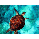 Malen nach Zahlen Schildkröte (mit Rahmen)