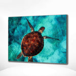 Malen nach Zahlen Schildkröte (mit Rahmen)