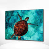 Malen nach Zahlen Schildkröte (mit Rahmen)