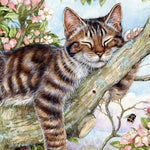 Malen nach Zahlen Schlafende Katze im Baum-Malen Nach Zahlen Experte