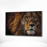 Malen nach Zahlen Schöner Löwe (mit Rahmen)