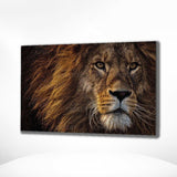 Malen nach Zahlen Schöner Löwe (mit Rahmen)