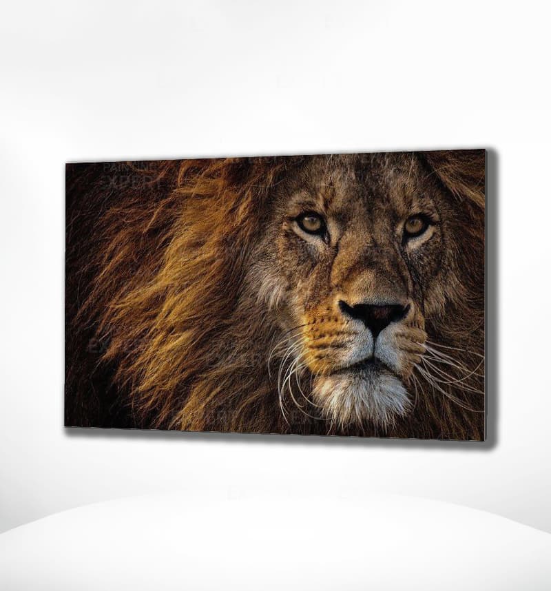 Malen nach Zahlen Schöner Löwe (mit Rahmen)