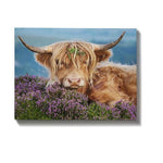 Malen nach Zahlen Schottischer Highlander mit Blumen
