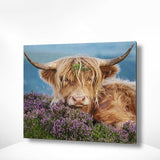 Malen nach Zahlen Schottischer Highlander mit Blumen