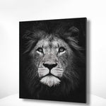 Malen nach Zahlen Schwarz und Weiß Lion Portrait
