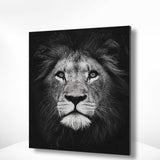 Malen nach Zahlen Schwarz und Weiß Lion Portrait