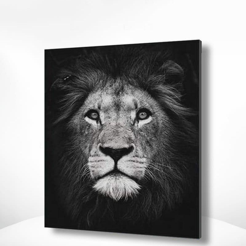Malen nach Zahlen Schwarz und Weiß Lion Portrait