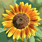 Malen nach Zahlen Sonnenblume Gelb Orange