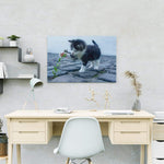 Malen nach Zahlen Spielende Katze