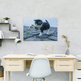 Malen nach Zahlen Spielende Katze