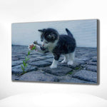 Malen nach Zahlen Spielende Katze