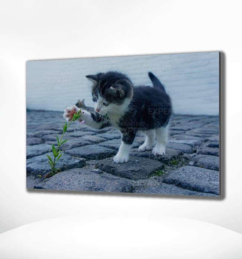 Malen nach Zahlen Spielende Katze