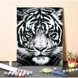 Malen nach Zahlen Tiger