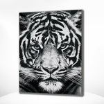 Malen nach Zahlen Tiger
