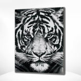 Malen nach Zahlen Tiger