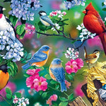 Malen nach Zahlen Vögel mit Blumen-Malen Nach Zahlen Experte
